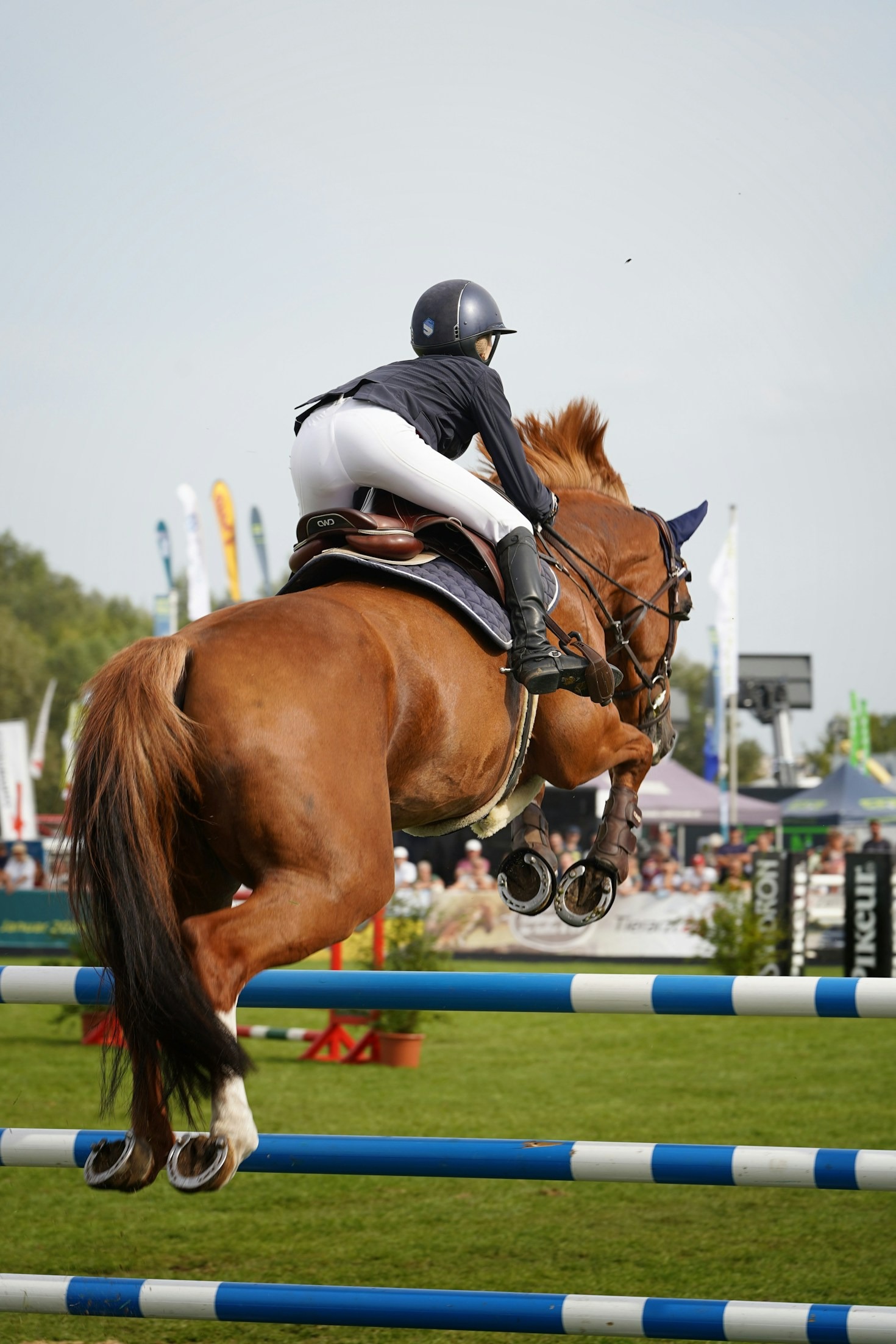 Reiten als Leidenschaft und Lebensweg