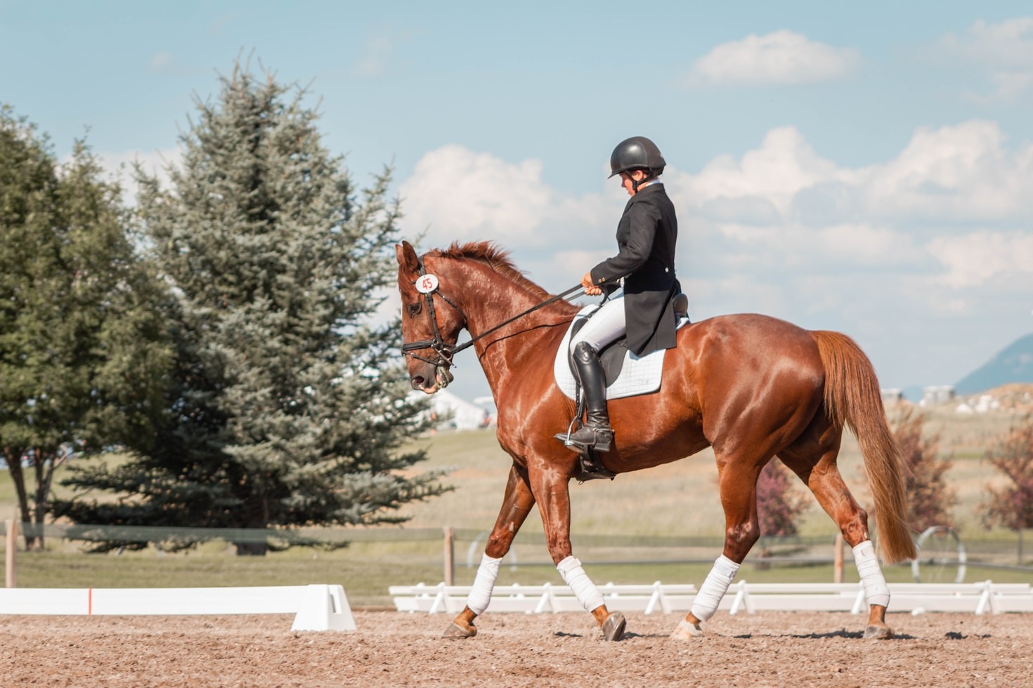 Die Kunst des Reitens: Mehr als ein Hobby